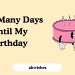 How Many Days Until My Birthday