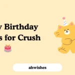 Funny Birthday Wishes for Crush