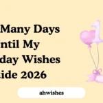 How Many Days Until My Birthday Wishes Guide