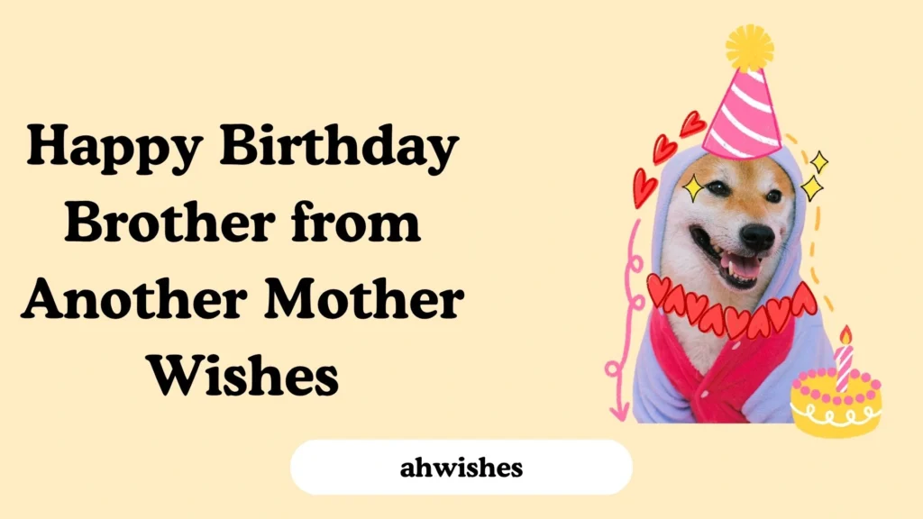 Happy Birthday Brother from Another Mother Wishes